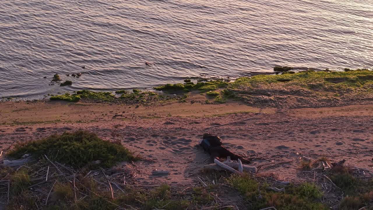 A photographer stands quietly on the shore as the camera reveals two swans swimming peacefully—capturing a serene and poetic wildlife moment in nature