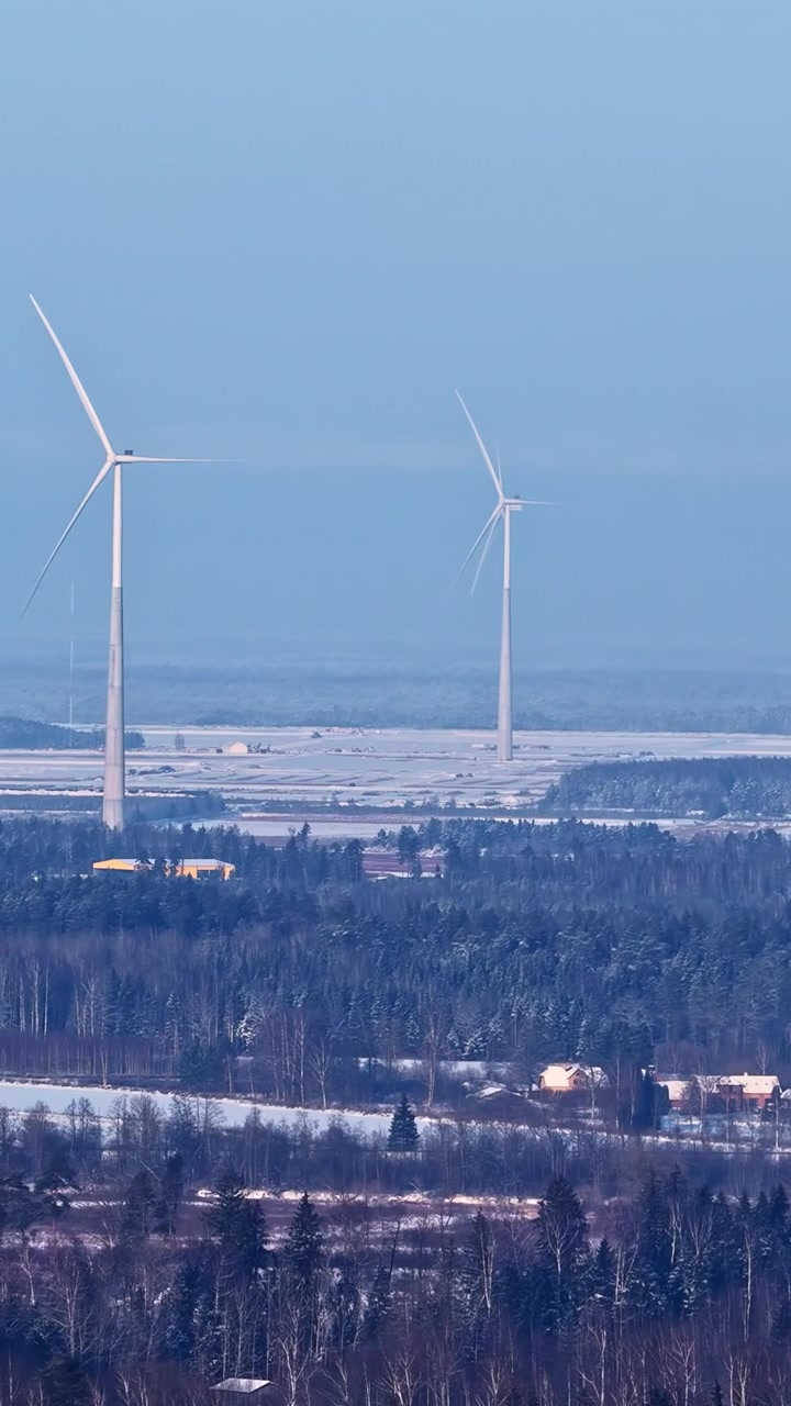Vindmøller drejer på sneklædte marker nær en skovkant i klart vinterdagslys.
