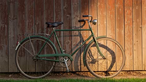 a vintage green bicycle resting against a weathered wooden fence, bathed in warm afternoon light, creating a serene outdoor scene capturing loneliness and reflection
