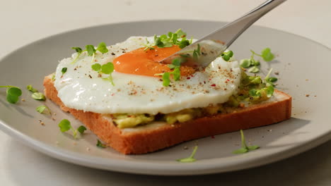 avocado toast with fried egg and microgreens