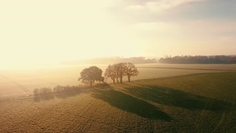 Luftaufnahme-Von-Ackerland,-Majestätische-Landschaft-Mit-Sonne-Am-Horizont-Und-Bäumen-Auf-Weiten-Feldern