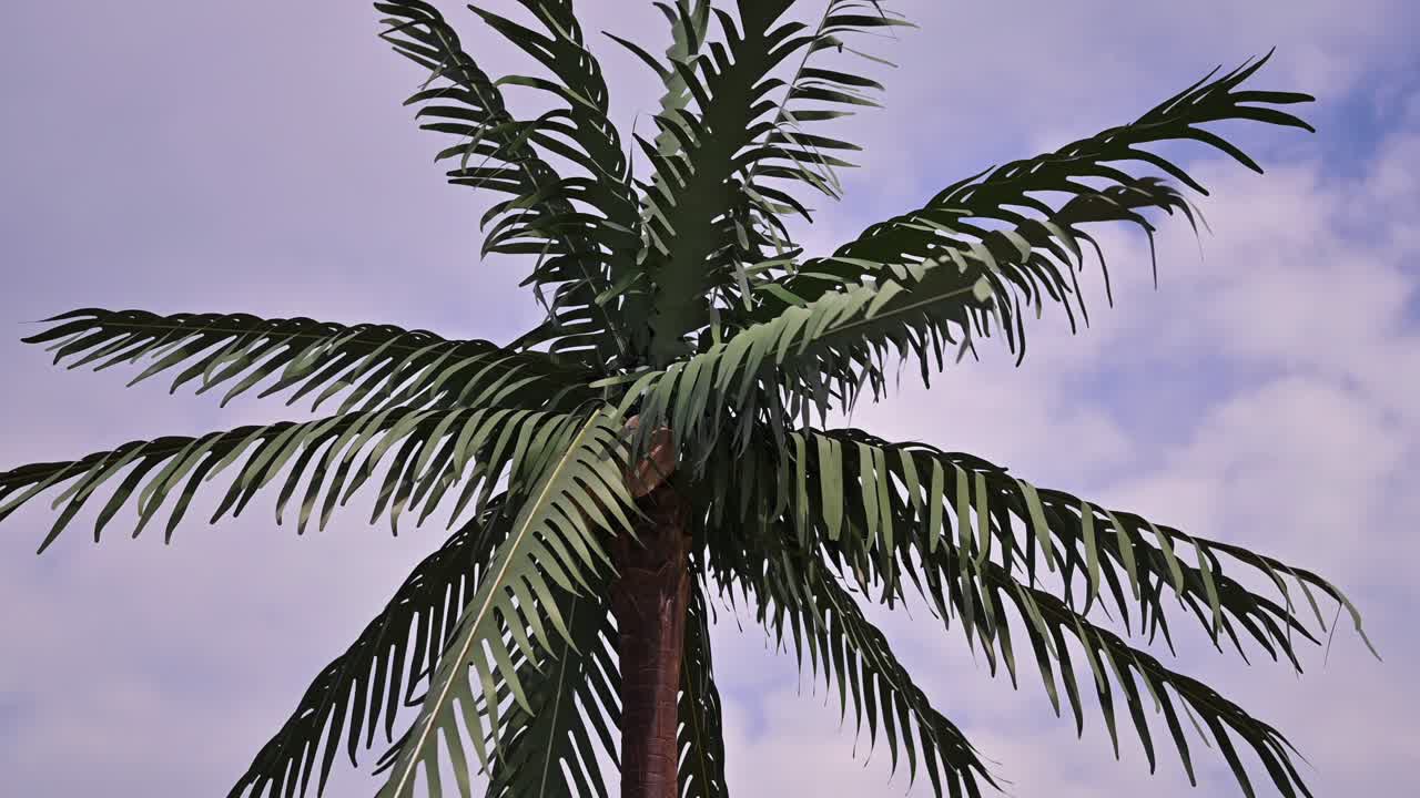 Fake palm tree in a park