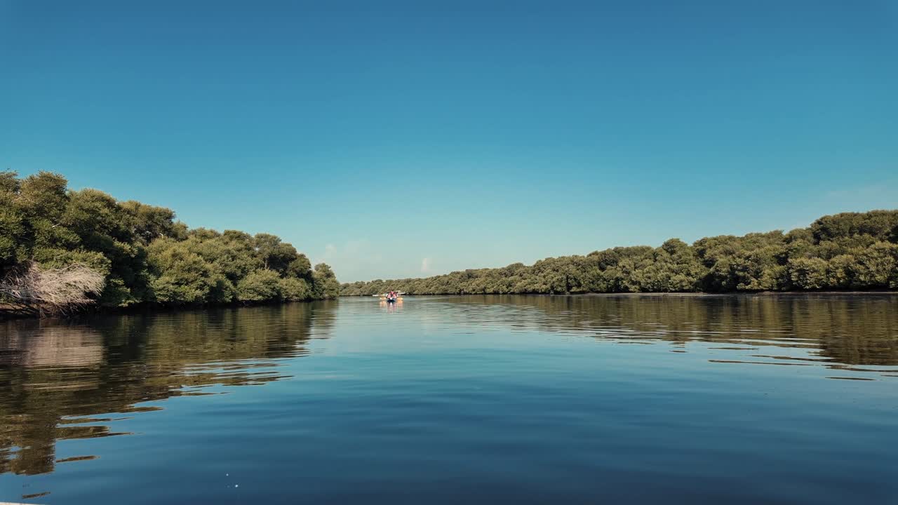Experience the peaceful beauty of Al Zorah Mangrove in Ajman, UAE