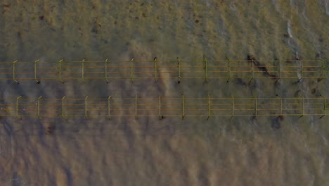 top-down aerial tracking reveals systematic oyster farm layout, drone sliding across precise marine cultivation frames.