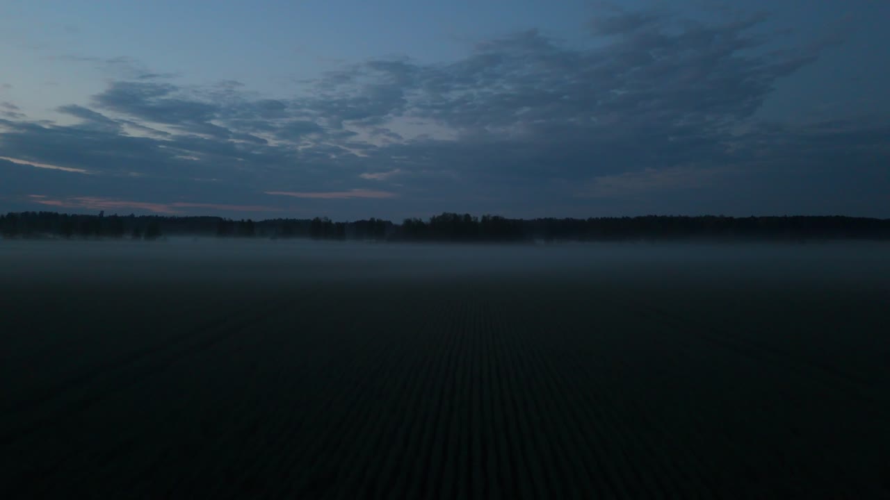 Captivating Evening Mist Over a Vast Rapeseed Field at Sunset, Captured by Drone in Stunning 4K , Showcasing the Tranquil Beauty of Nature with Golden Hues and Serene Atmosphere in the Countryside