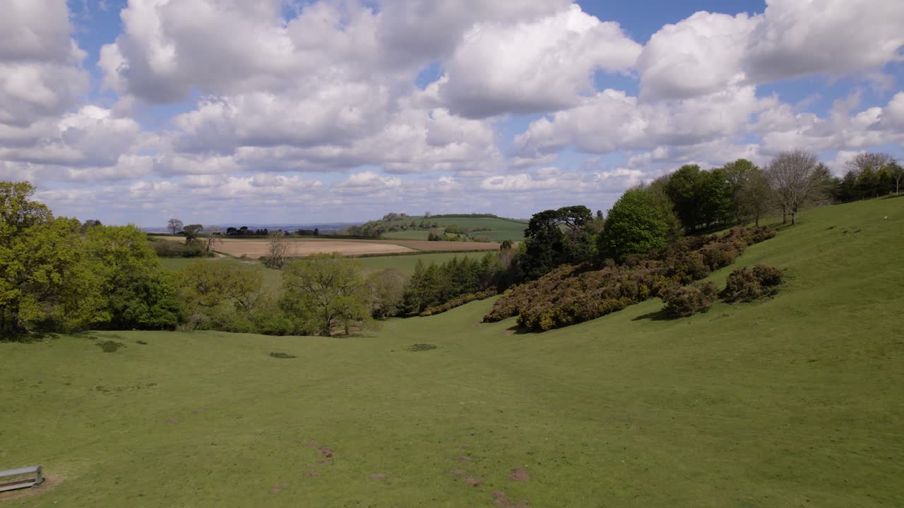 gyvelbuske, dal, træer, landskab set fra luften, landligt, forår, Cotswold-landskab, Meon Hill, græs, bakke, landskab, natur