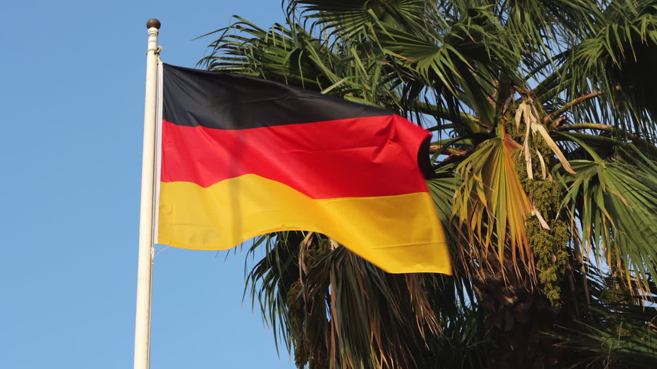 Bandiera della Germania che sventola dolcemente in una giornata serena, palma sullo sfondo.