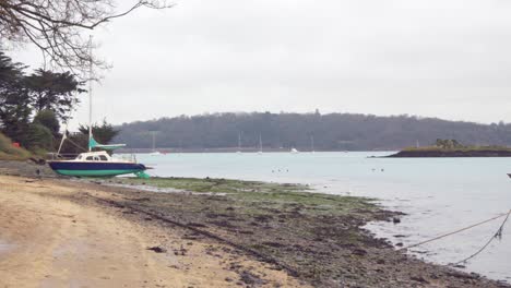 A wide view of a quiet, wild Breton beach during winter. The tide is low, revealing wet sand and natural textures in a peaceful, untouched coastal setting.