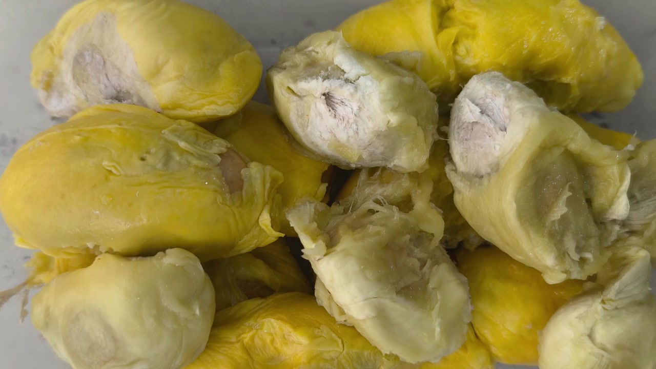La polpa del frutto di durian sbucciato viene raccolta all'interno di un contenitore di plastica trasparente. Conservarlo correttamente lo mantiene fresco più a lungo se refrigerato. Offre un modo conveniente per preservare cibi tropicali esotici
