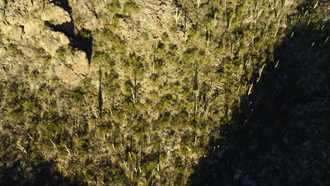 Moody-drone-footage-with-dramatic-shadows