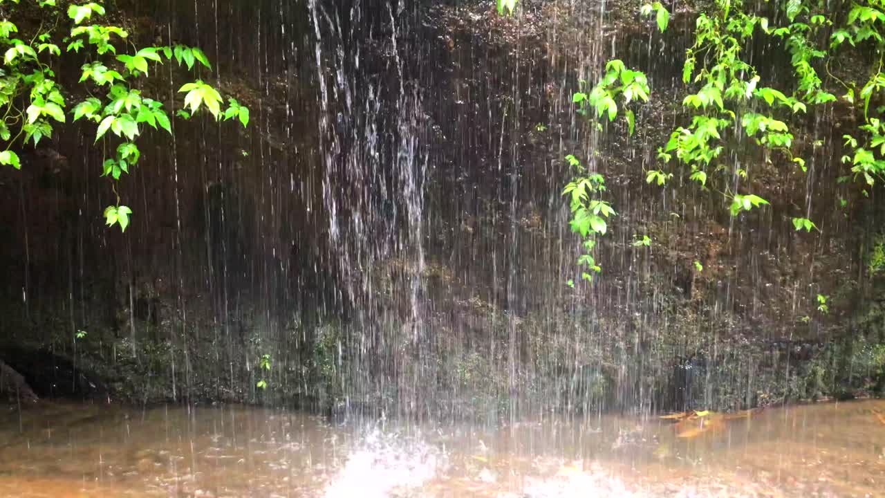 One minute of falling water in a waterfall in a forest jungle in Ubud, Bali, Indonesia