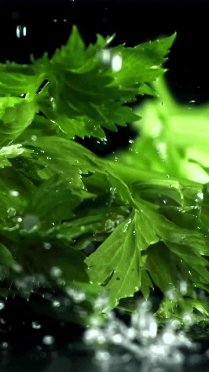 Primo piano di sedano verde con acqua che schizza al rallentatore.