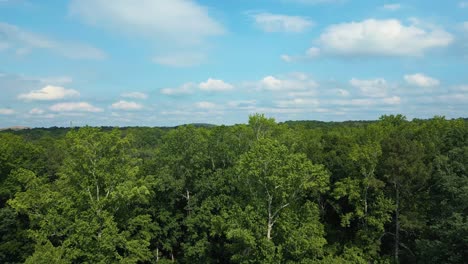 Drone Flight Over Lush Canopy Of Trees With Blue Sky And Clouds