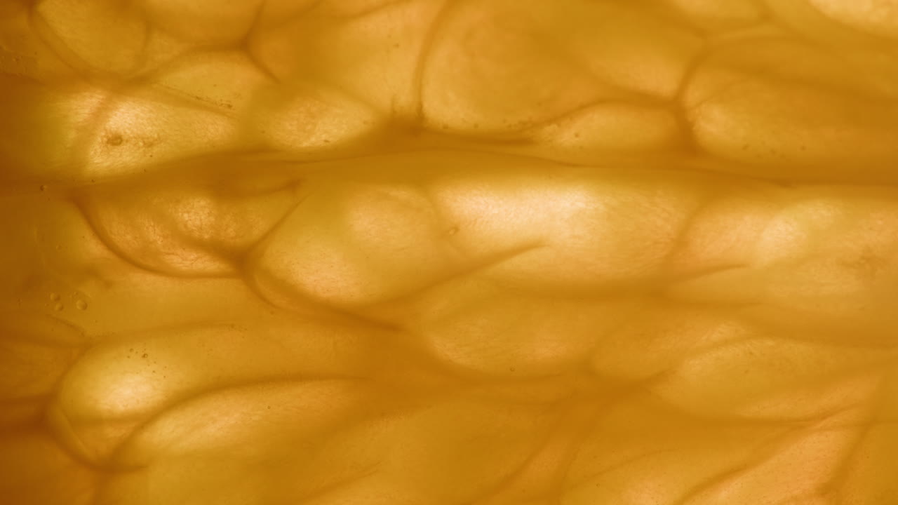 Close-up Macro View of Backlit Orange Fruit Segment