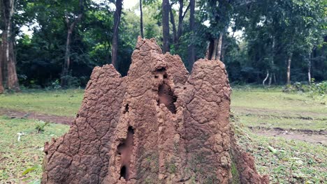 Rural-scene-with-huge-termite-mound