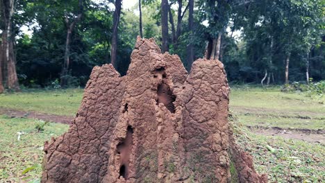 rural scene with huge termite mound