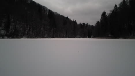 Antena-Del-Lago-Cubierto-De-Nieve-Boscosa-Zurich-Suiza