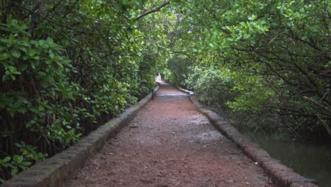 Static-shot-of-an-empty-trail-in-the-middle-of-the-Dr