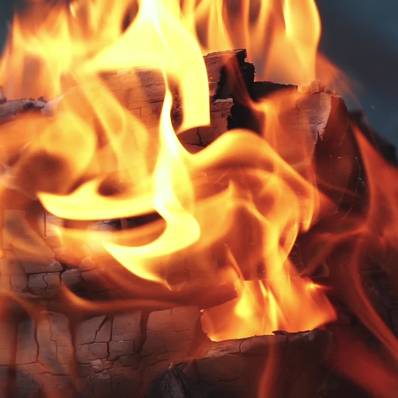 Flaming and burning dangerous fire. Burning firewood. Bonfire. Home symbol.