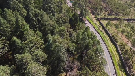 A-truck-full-of-logs-is-seen-travelling-down-a-hill-covered-forest-road-in-Tlaxcala,-Mexico,-which-is-completely-covered-in-lush-greenery