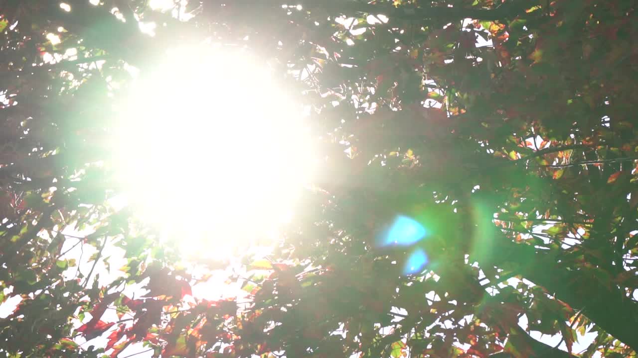 Beautiful Autum Colors in Ontario Canada