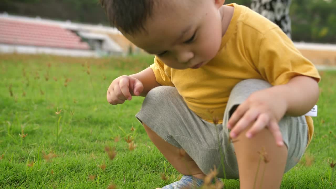 Little Boy Sitting In The Grass And Play Clover