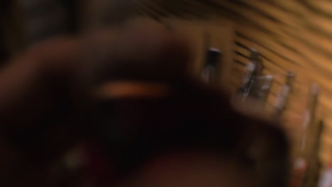 experiencia en la degustación de vinos