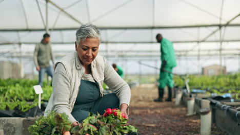 face, smile of farmer and woman in greenhouse