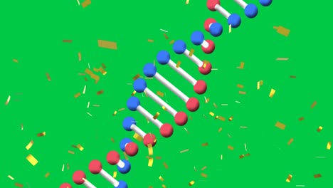 animation of dna strand icon on green screen background with confetti