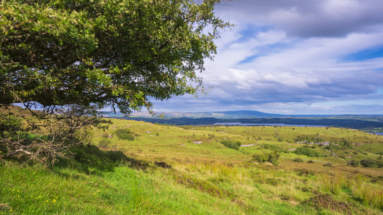 timelapse de la naturaleza rural tierras de cultivo con un solo árbol y campo de pastizales en primer plano y el lago y las colinas en la distancia durante un día nublado soleado visto desde carrowkeel en el condado de sligo en irlanda