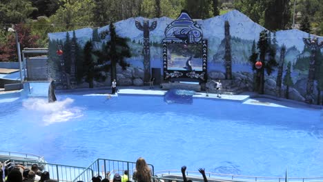 Stop-lapse-of-the-orca-Shouka-doing-a-back-flip-at-Six-Flags-Discovery-Kingdom-in-Vallejo-California