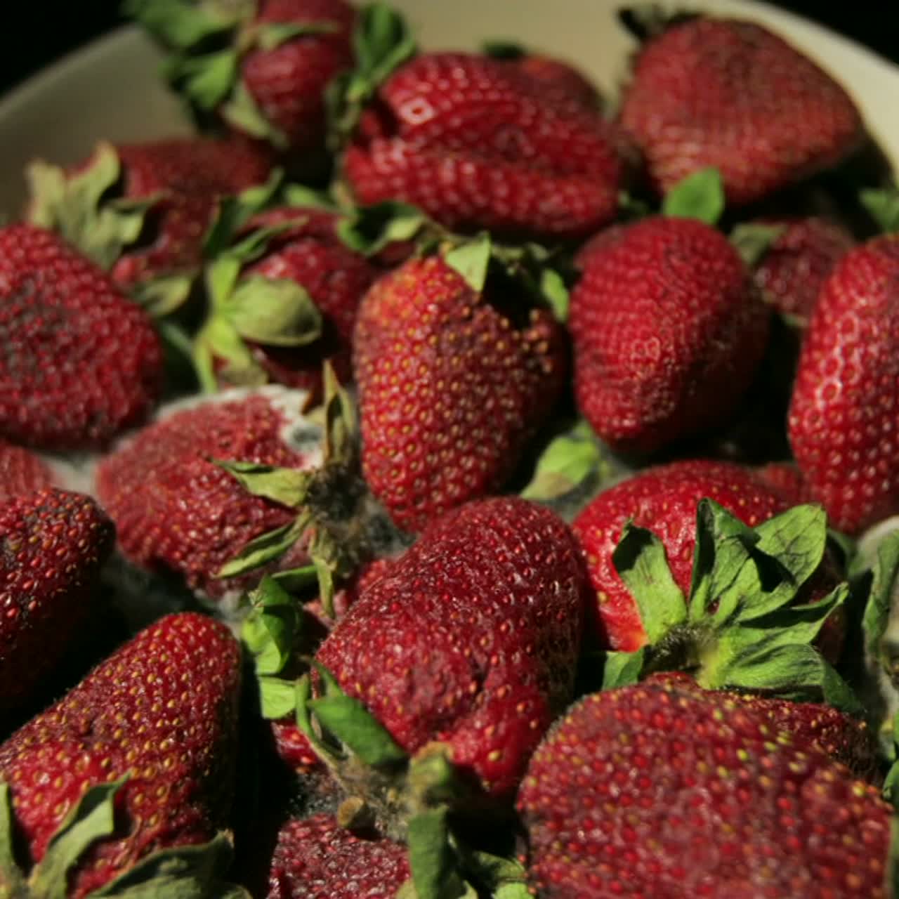 las fresas se descomponen en un bol