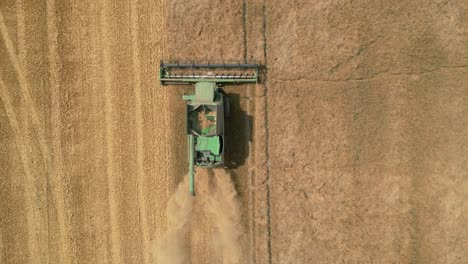 harvesting wheat crops with a working farm tractor on a field