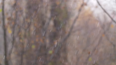 Frío-Día-De-Otoño-Con-Nevadas