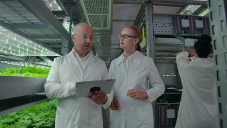 scientists in white coats with a laptop go along the corridor of the farm with hydroponics and discuss the results of gene studies on plants. look at the samples