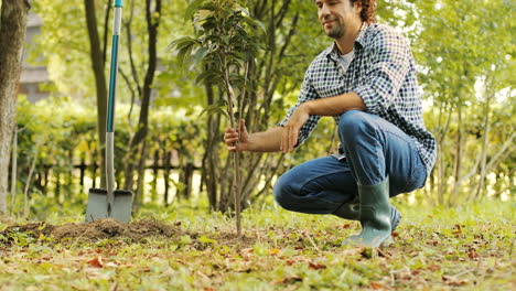 closeup. portrait of a farmer planting a tree. he presses the soil, then smiles. blurred background