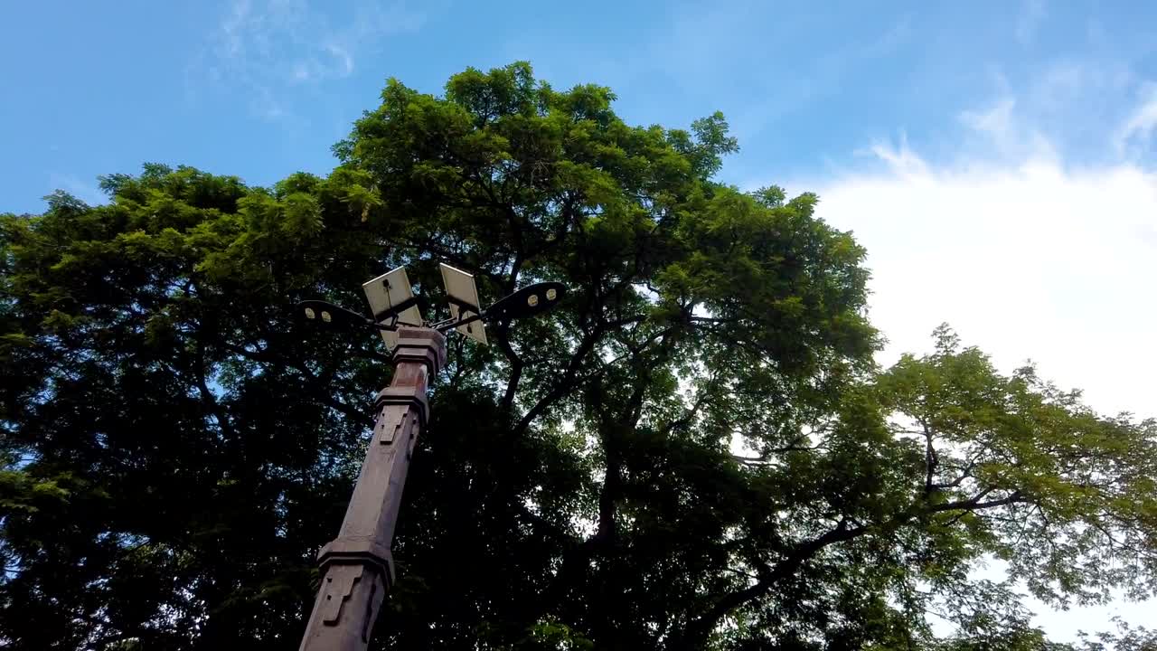 Treetops and blue sky with clouds, low angle, motion lapse 360