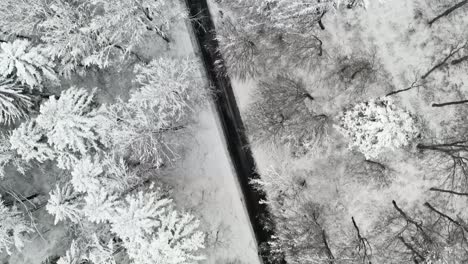 Winter---Drone-flight-along-a-street,-framed-by-snow-covered-trees-besides-the-road
