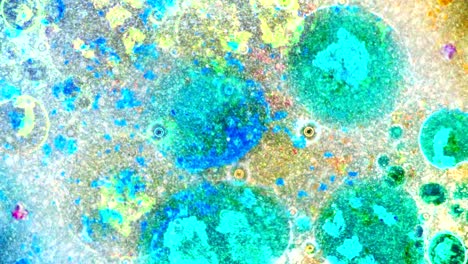 curlicue of paints