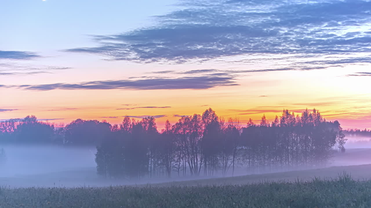 황혼 시간 동안 정글 고삐를 지배하는 눈보라 폭풍