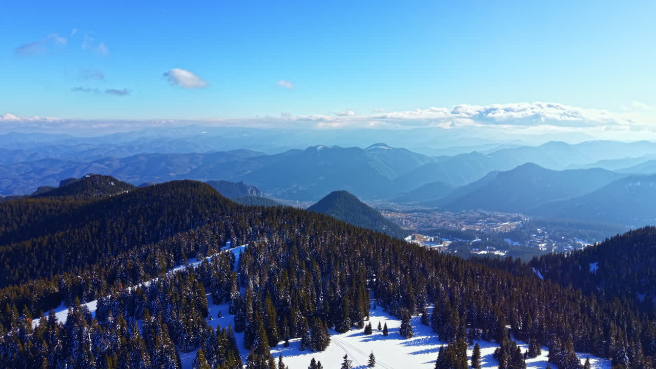 Vista Aérea de Montanhas Nevadas e Floresta de Pinheiros no Inverno