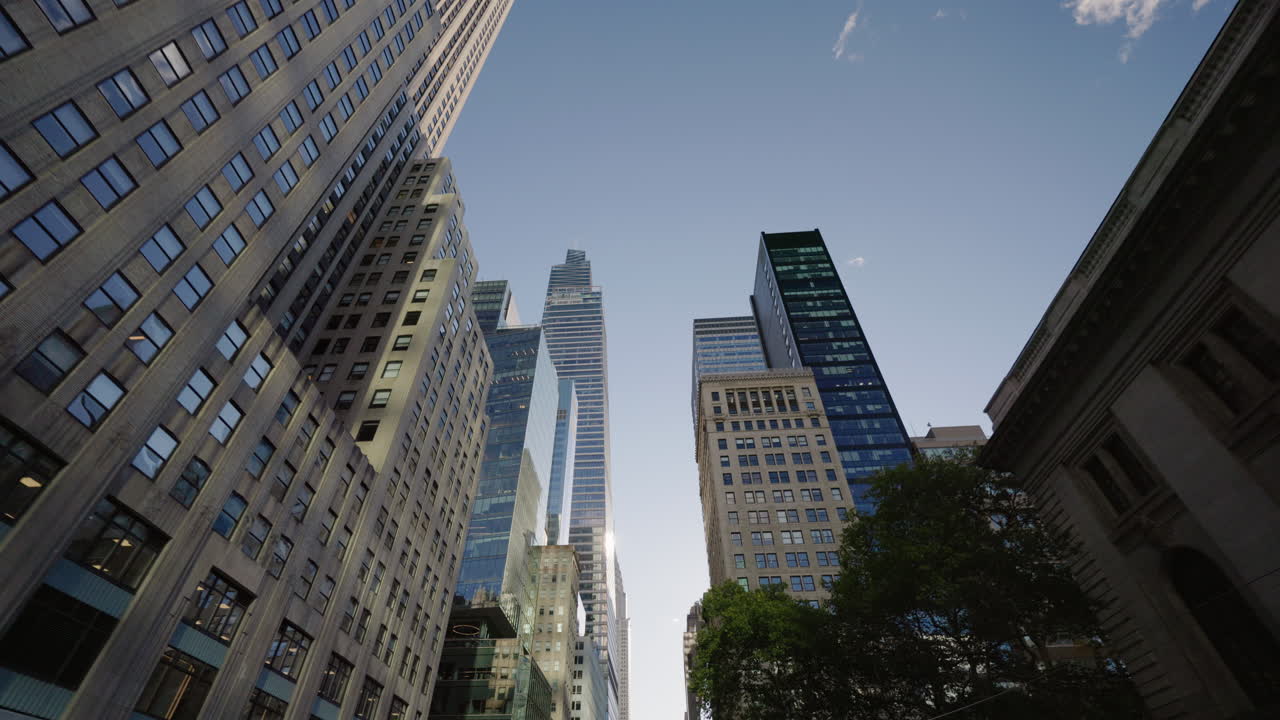 Luce solare che filtra tra i grattacieli di Manhattan con rami di alberi autunnali in primo piano, visuale dinamica dal basso verso l'alto lungo una strada cittadina