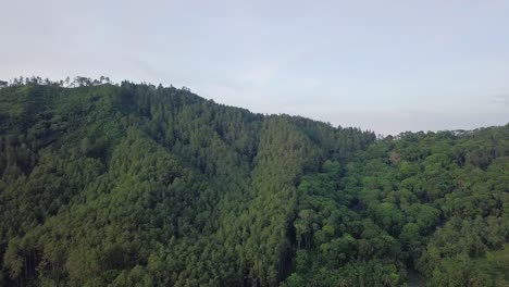 Drone-shot-of-greened-hills-in-tropical-rainforest-of-Indonesia-during-summer