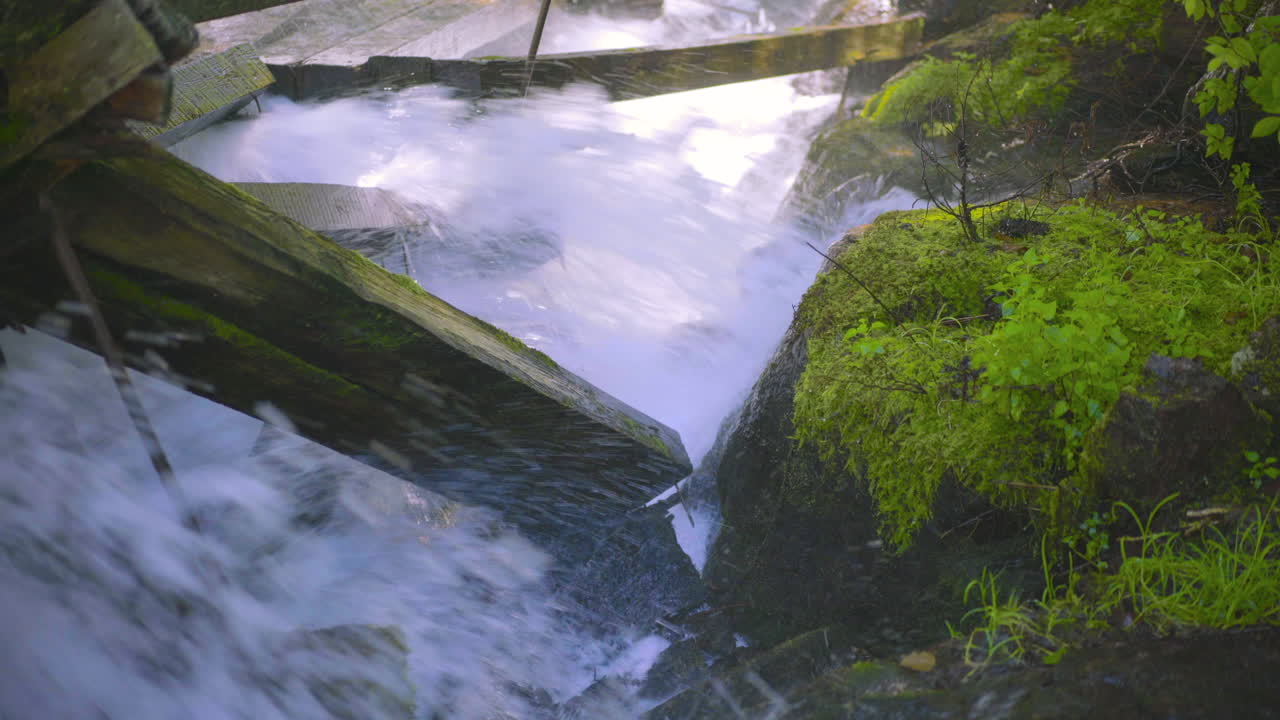 급류가 통나무 슈트를 통해 흐르고 손상된 이끼 덮인 통나무 슈트 나무 들보에 충돌하면서 이끼 덮인 바위와 녹색 초목에 안개와 물을 뿌리는 동안 4k 프로레스