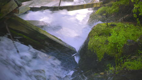 rápidos de agua corriendo a través del conducto de troncos y chocando contra vigas de madera dañadas del conducto de troncos cubiertas de musgo mientras rocían niebla y agua sobre rocas cubiertas de musgo y vegetación verde 4k prores