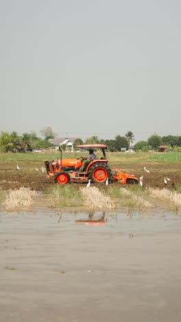 tractor working in a field with birds