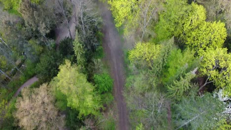 A-path-through-the-woods-in-a-park,-panorama-sky-Breathtaking-aerial-view-flight-slowly-tilt-up-drone-flight-of-Berlin-Tempelhof-Park-District-Spring-2022