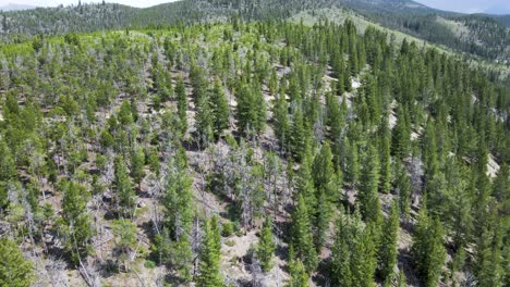 The-beauty-of-Colorado-state.-Aerial-4K-footage