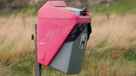 dog waste bin in a public dog walking area filled to over capacity with dog waste bags spilling on the ground, tight medium tilt up shot