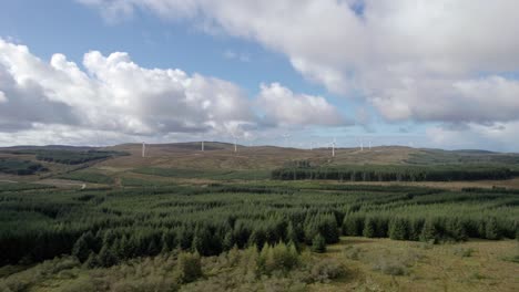 aerial drone footage of fast spinning wind turbines in a scottish windfarm surrounded by forestry plantations of commercial conifers on the kintyre peninsula, argyll, scotland